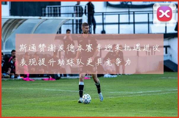斯通赞谢泼德本赛季迎来机遇进攻表现提升助球队更具竞争力